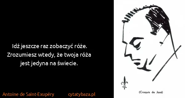 Antoine de Saint-Exupéry: Idź jeszcze raz zobaczyć róże. Zrozumiesz wtedy, że...