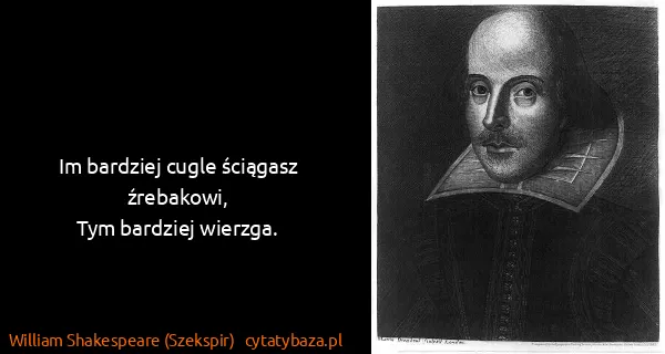 William Shakespeare (Szekspir): Im bardziej cugle ściągasz źrebakowi,
Tym bardziej...