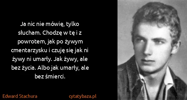 Edward Stachura: Ja nic nie mówię, tylko słucham. Chodzę w tę i z...