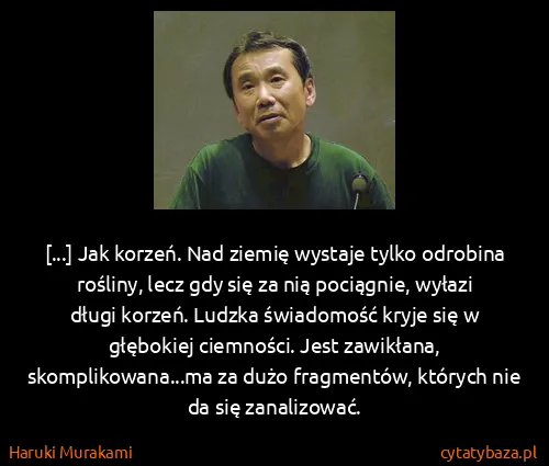 Haruki Murakami: [...] Jak korzeń. Nad ziemię wystaje tylko odrobina...
