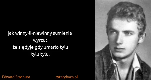 Edward Stachura: jak winny-li-niewinny sumienia wyrzut
że się żyje gdy...