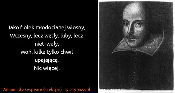 William Shakespeare (Szekspir): Jako fiołek młodocianej wiosny,
Wczesny, lecz wątły,...