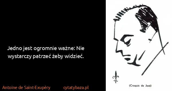 Antoine de Saint-Exupéry: Jedno jest ogromnie ważne: Nie wystarczy patrzeć żeby...