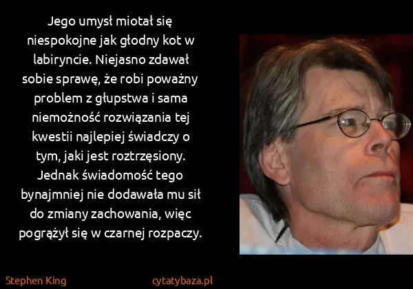 Stephen King: Jego umysł miotał się niespokojne jak głodny kot w...