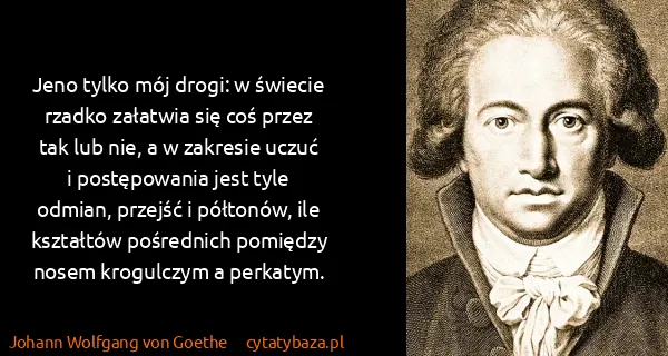 Johann Wolfgang von Goethe: Jeno tylko mój drogi: w świecie rzadko załatwia się coś...