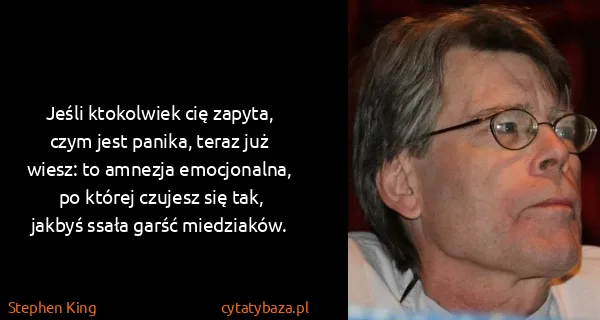 Stephen King: Jeśli ktokolwiek cię zapyta, czym jest panika, teraz już...