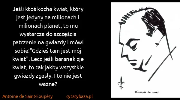 Antoine de Saint-Exupéry: Jeśli ktoś kocha kwiat, który jest jedyny na milionach i...