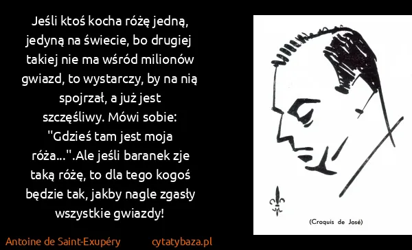 Antoine de Saint-Exupéry: Jeśli ktoś kocha różę jedną, jedyną na świecie, bo...