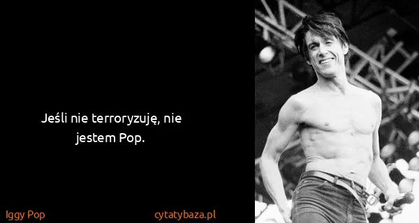 Iggy Pop: Jeśli nie terroryzuję, nie jestem Pop.