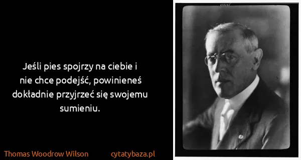 Thomas Woodrow Wilson: Jeśli pies spojrzy na ciebie i nie chce podejść,...