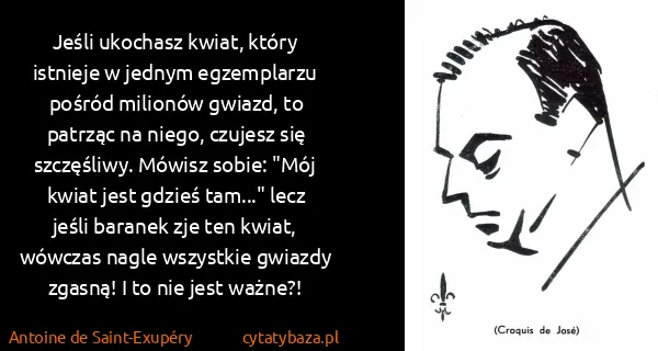 Antoine de Saint-Exupéry: Jeśli ukochasz kwiat, który istnieje w jednym...