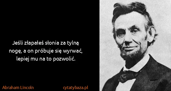 Abraham Lincoln: Jeśli złapałeś słonia za tylną nogę, a on próbuje się...