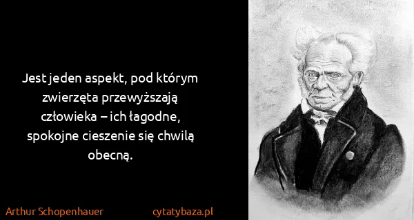 Arthur Schopenhauer: Jest jeden aspekt, pod którym zwierzęta przewyższają...