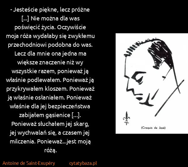 Antoine de Saint-Exupéry: - Jesteście piękne, lecz próżne [...] Nie można dla was...