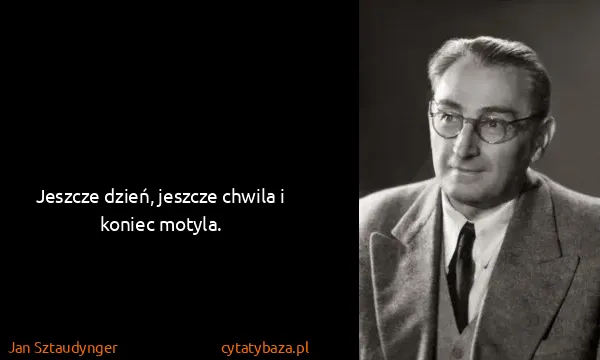 Jan Sztaudynger: Jeszcze dzień, jeszcze chwila i koniec motyla.