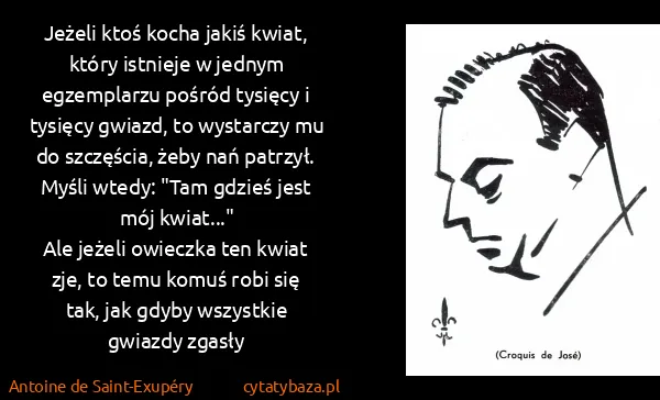 Antoine de Saint-Exupéry: Jeżeli ktoś kocha jakiś kwiat, który istnieje w jednym...