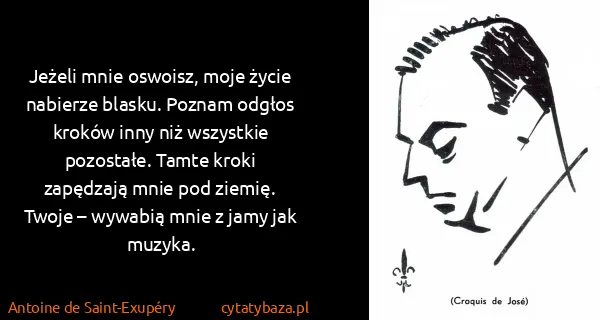 Antoine de Saint-Exupéry: Jeżeli mnie oswoisz, moje życie nabierze blasku. Poznam...