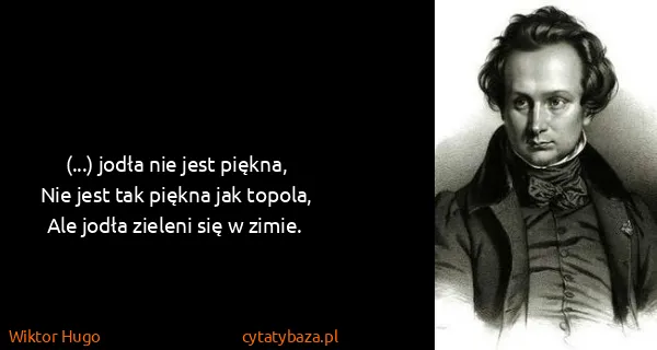 Wiktor Hugo: (...) jodła nie jest piękna,
Nie jest tak piękna jak...