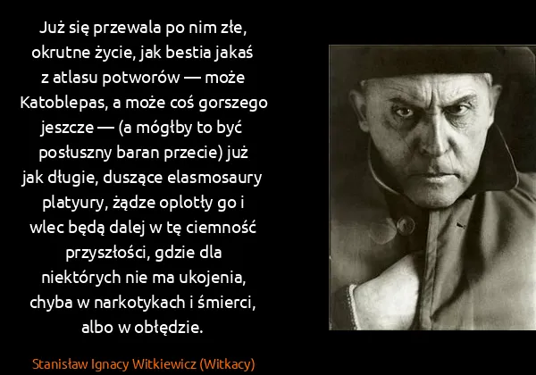 Stanisław Ignacy Witkiewicz (Witkacy): Już się przewala po nim złe, okrutne życie, jak bestia...