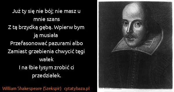 William Shakespeare (Szekspir): Już ty się nie bój; nie masz u mnie szans
Z tą brzydką...