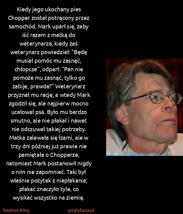 Stephen King: Kiedy jego ukochany pies Chopper został potrącony przez...
