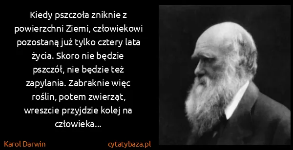 Karol Darwin: Kiedy pszczoła zniknie z powierzchni Ziemi, człowiekowi...