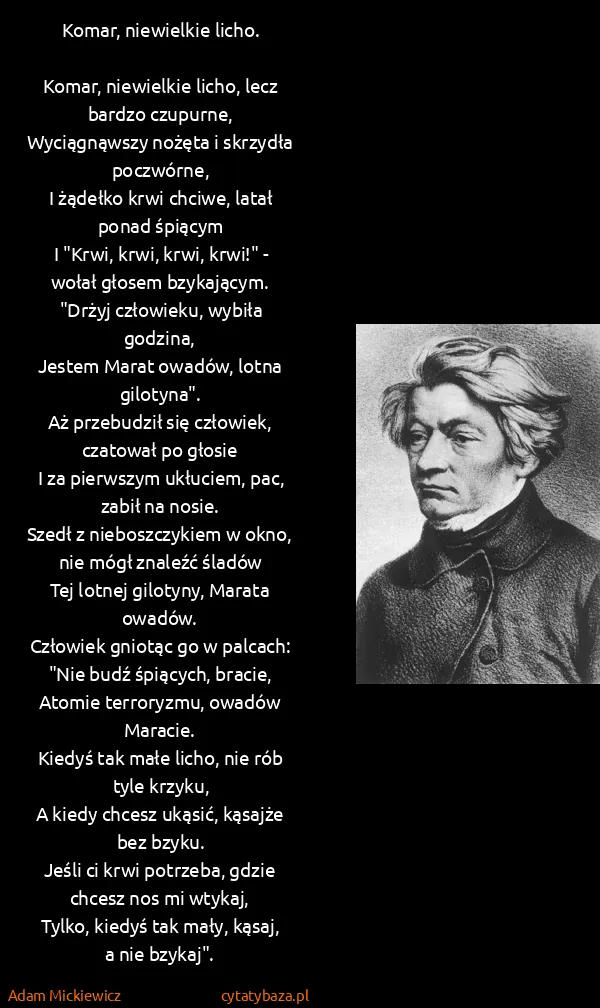 Adam Mickiewicz: Komar, niewielkie licho.

Komar, niewielkie licho, lecz...