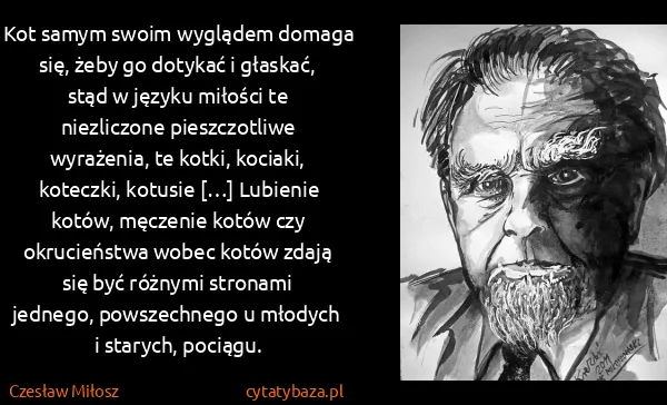 Czesław Miłosz: Kot samym swoim wyglądem domaga się, żeby go dotykać i...