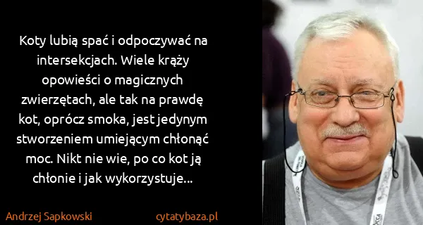 Andrzej Sapkowski: Koty lubią spać i odpoczywać na intersekcjach. Wiele...