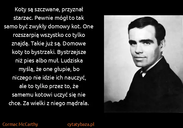 Cormac McCarthy: Koty są szczwane, przyznał starzec. Pewnie mógł to tak...