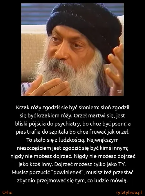 Osho: Krzak róży zgodził się być słoniem: słoń zgodził się być...