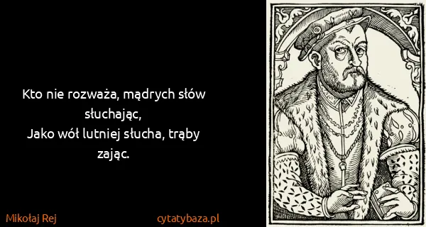 Mikołaj Rej: Kto nie rozważa, mądrych słów słuchając,
Jako wół...