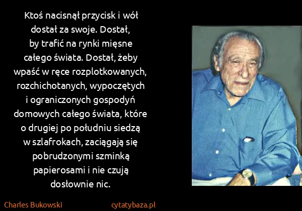 Charles Bukowski: Ktoś nacisnął przycisk i wół dostał za swoje. Dostał,...