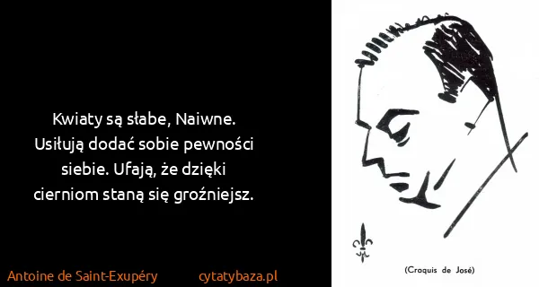 Antoine de Saint-Exupéry: Kwiaty są słabe, Naiwne. Usiłują dodać sobie pewności...