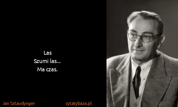 Jan Sztaudynger: Las
Szumi las...
Ma czas.