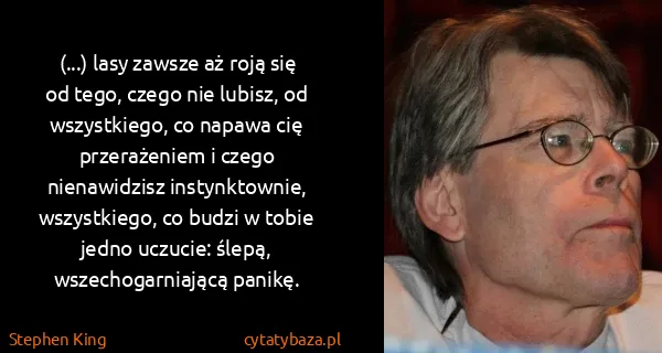 Stephen King: (...) lasy zawsze aż roją się od tego, czego nie lubisz,...