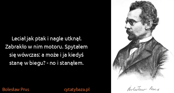Bolesław Prus: Leciał jak ptak i nagle utknął. Zabrakło w nim motoru....