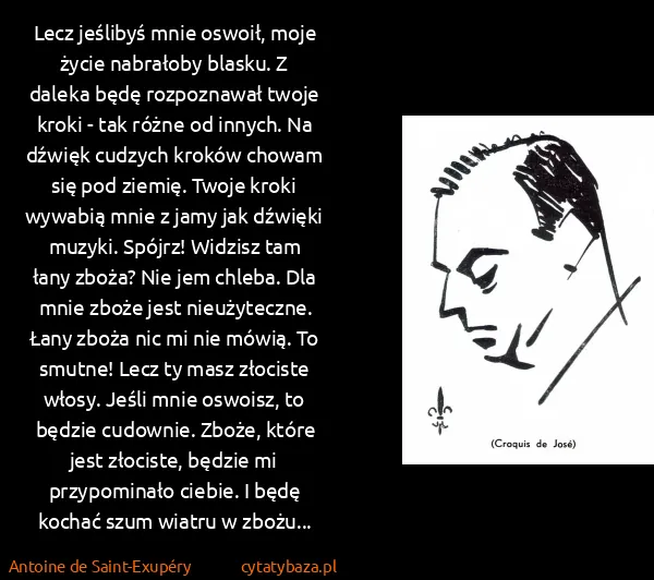 Antoine de Saint-Exupéry: Lecz jeślibyś mnie oswoił, moje życie nabrałoby blasku....