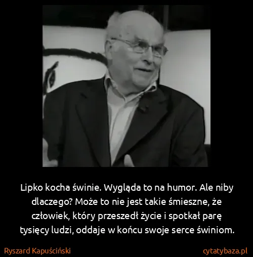 Ryszard Kapuściński: Lipko kocha świnie. Wygląda to na humor. Ale niby...