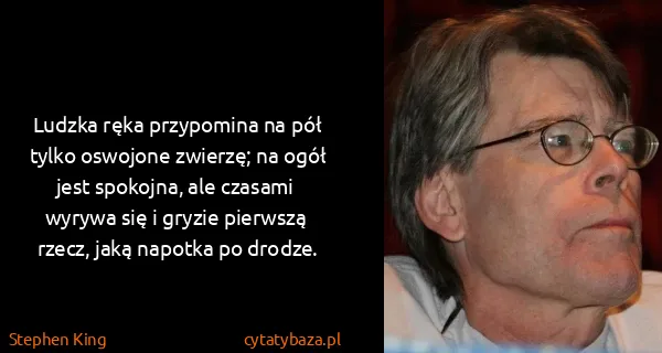 Stephen King: Ludzka ręka przypomina na pół tylko oswojone zwierzę; na...