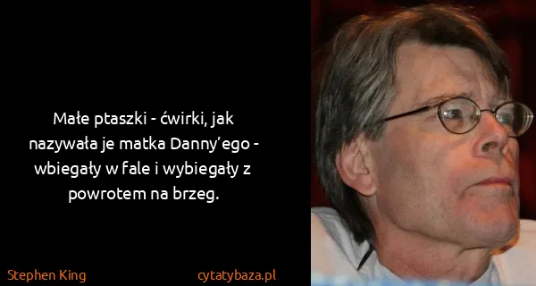 Stephen King: Małe ptaszki - ćwirki, jak nazywała je matka Danny’ego -...