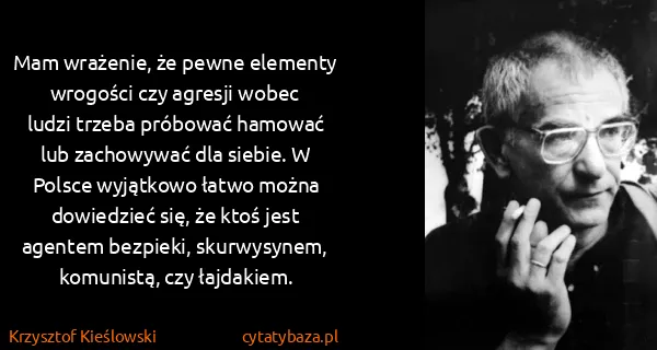 Krzysztof Kieślowski: Mam wrażenie, że pewne elementy wrogości czy agresji...