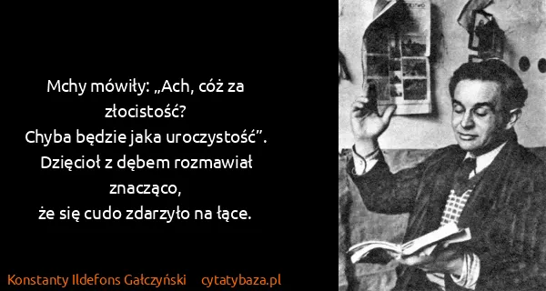 Konstanty Ildefons Gałczyński: Mchy mówiły: „Ach, cóż za złocistość?
Chyba będzie jaka...