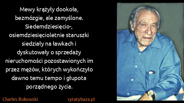 Charles Bukowski: Mewy krążyły dookoła, bezmózgie, ale zamyślone....