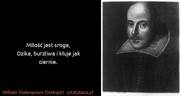William Shakespeare (Szekspir): Miłość jest sroga,
Dzika, burzliwa i kłuje jak ciernie.