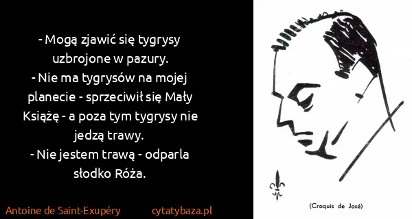 Antoine de Saint-Exupéry: - Mogą zjawić się tygrysy uzbrojone w pazury. 
- Nie ma...