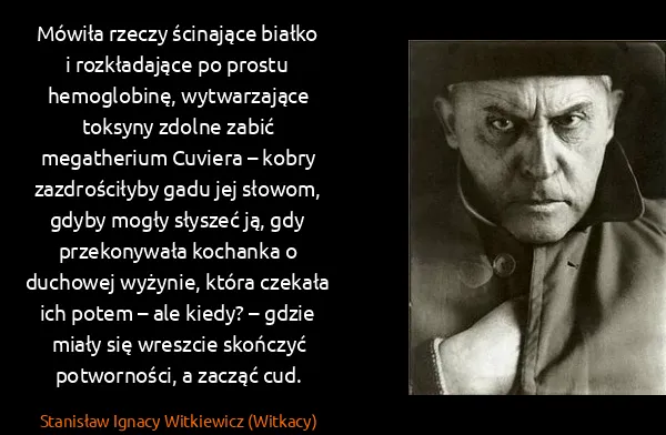 Stanisław Ignacy Witkiewicz (Witkacy): Mówiła rzeczy ścinające białko i rozkładające po prostu...