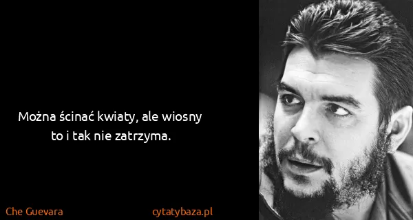 Che Guevara: Można ścinać kwiaty, ale wiosny to i tak nie zatrzyma.