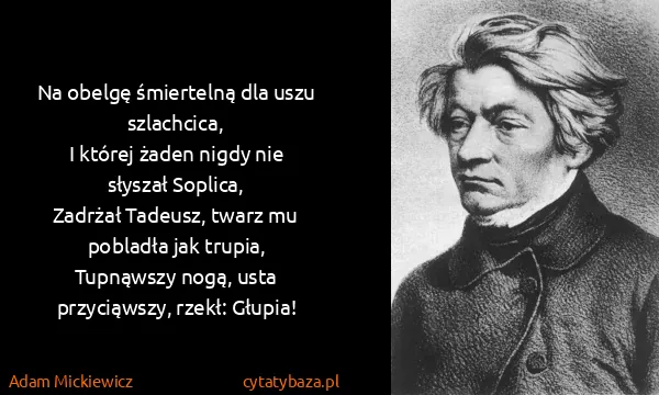 Adam Mickiewicz: Na obelgę śmiertelną dla uszu szlachcica,
I której...