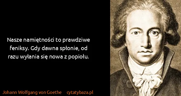 Johann Wolfgang von Goethe: Nasze namiętności to prawdziwe feniksy. Gdy dawna...